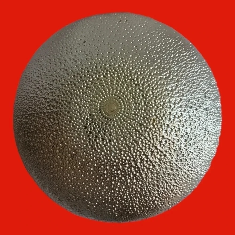 Akam glass fruit bowl silver